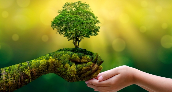 Good results on Google SERP when searching for 'about jouvelline'