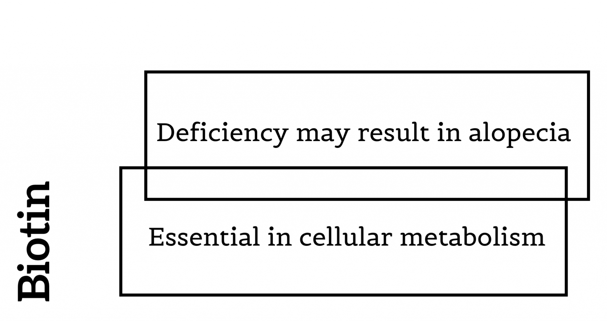 best vitamins for women's hair loss
