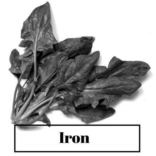 Good results on Google SERP when searching for 'Iron for hair'