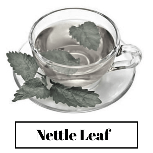 Good results on Google SERP when searching for 'Nettle Leaf for hair'