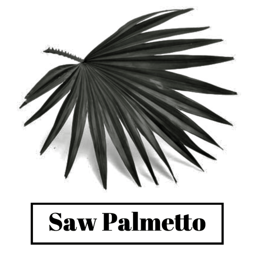 Good results on Google SERP when searching for 'Saw Palmetto for hair'
